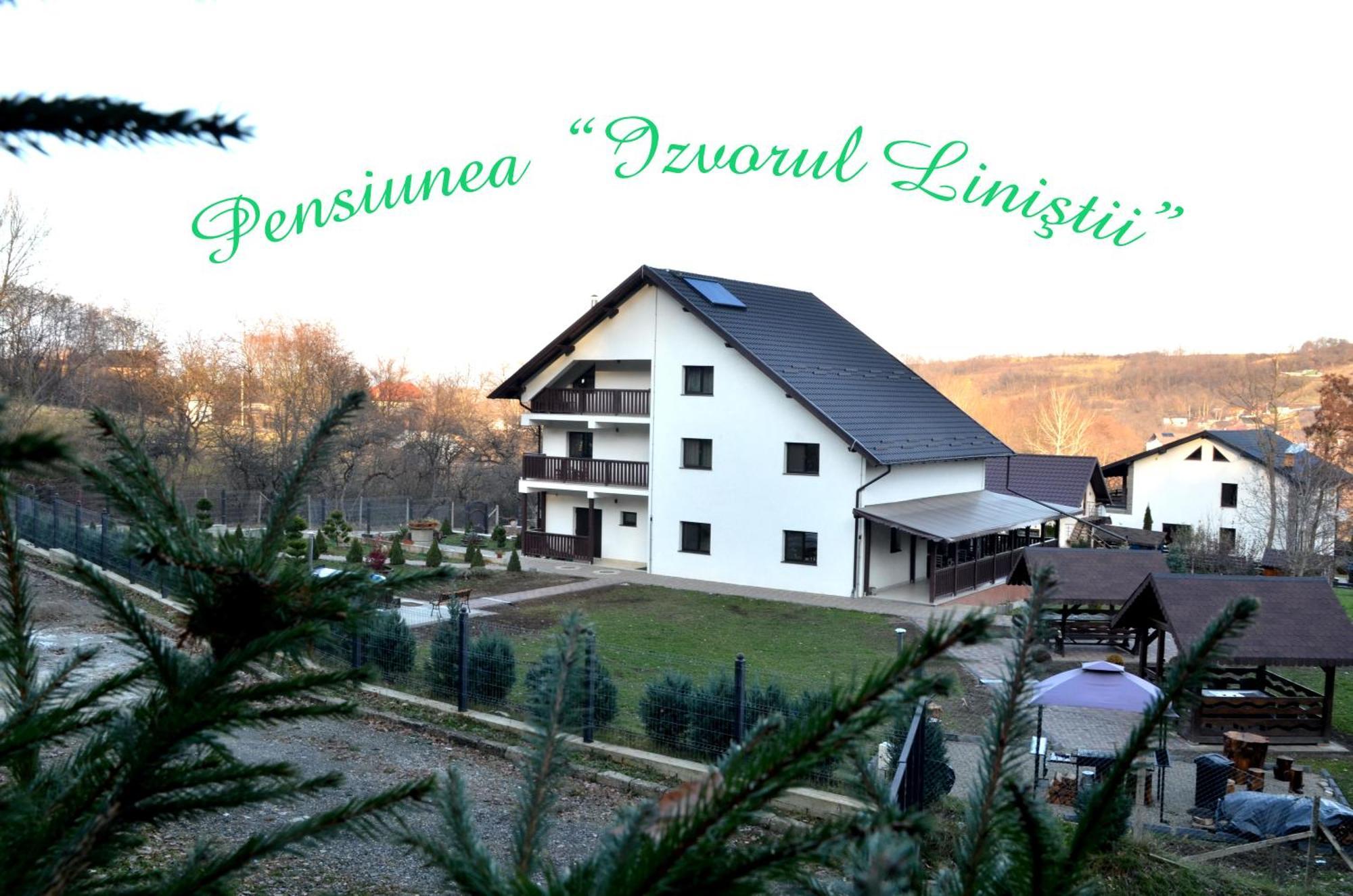 Pensiunea Izvorul Linistii Radaseni Екстериор снимка